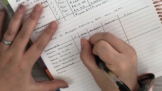 Week 2 Budget Plan | February 2019 | Erin Condren 8.5 x 11 Deluxe Monthly Planner | смотреть онлайн