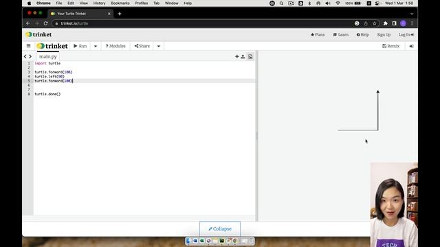 Python Coding for Beginners - Learn how to draw in 1 hour! - Part 1 #python #pythonforbeginners смотреть онлайн