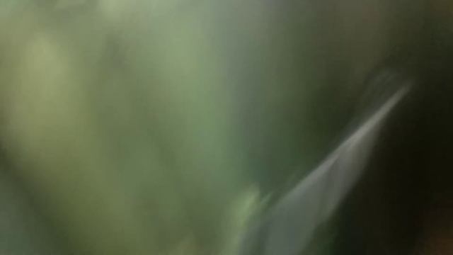 Электрический лифт otis GeN 2 2011 года выпуска 650 кг 8 чел V=1,5 m/сек на станции метро Чкаловска смотреть онлайн