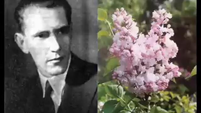 Георгий Виноградов Ветка сирени смотреть онлайн