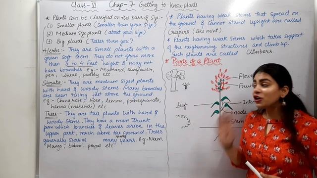 Class 6 Science chapter 7 Getting to know plants [part-1]. Simple explanation. #CBSE #Ncert #CTET смотреть онлайн