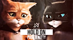 HOLD ON - Puss in Boots x Kitty Softpaws ?