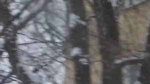 Ксения Георгиади и группа Аракс   Ищу тебя из к ф 31 июня Всегда быть pядом не