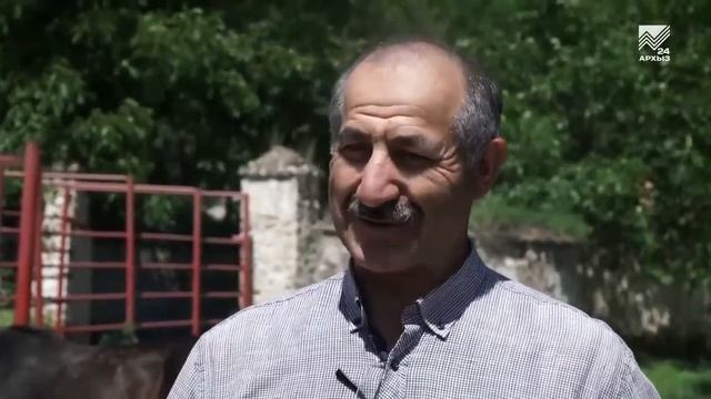 «Федерация карачаевской породы лошадей» начала бонитировку животных смотреть онлайн