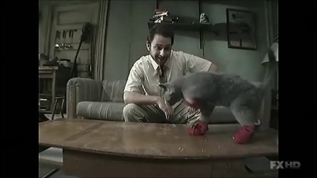 It's Always Sunny - Kitten Mittens смотреть онлайн