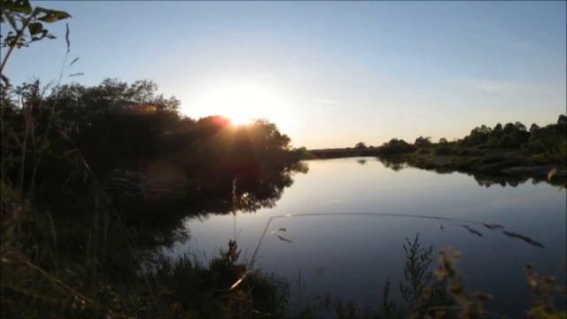 Лидолия Никитина - Разрешите подарить цветы. Нет тебя. Читает Владислав Витковский смотреть онлайн