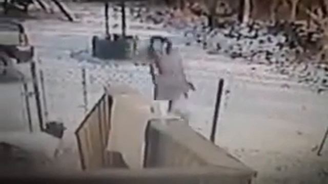 Нельзя пинать этого кота! смотреть онлайн