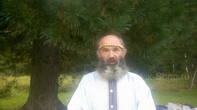 Чем осиновые подушки отличаются от кедровых смотреть онлайн