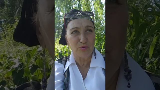 Расшифровка сновидений и самого сновидца на уравне #рефлексов#,даёт #возможность #регулировать #сно смотреть онлайн