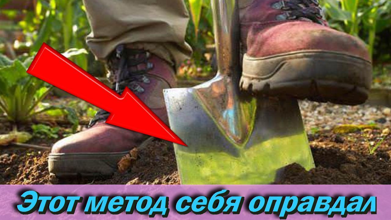 Необычный способ себя оправдал! Теперь урожая у меня в 2 раза больше Дачные хитрости для сада смотреть онлайн