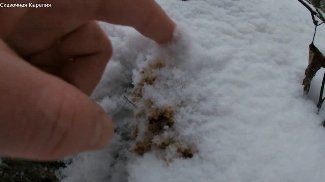 Стройка Дизайн