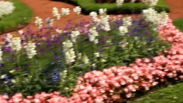 Санкт-Петербург |Июль 2019 | Парад ВМФ смотреть онлайн