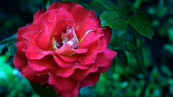 Самая хорошая песня и видео смотреть