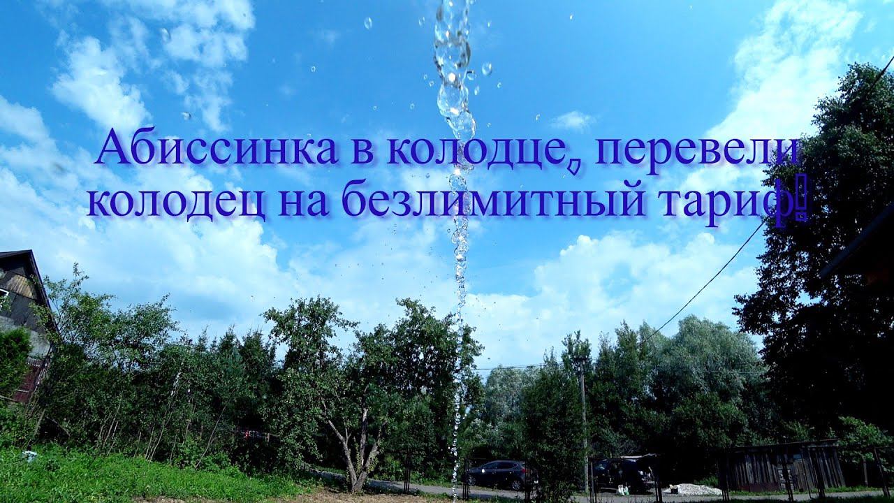 д Мешково, абиссинка в колодце, перевели колодец на безлимитный тариф! смотреть онлайн