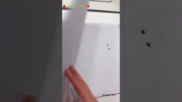 Обзор Топ Модель АЛЬБОМ ДЛЯ РАСКРАШИВАНИЯ TOP MODEL DANCE - 7937_C смотреть онлайн