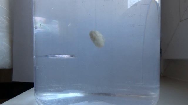 СУПЕР хлеб для рыбалки, насадка на карася и белую рыбу Пылящий хлеб Как насадить хлеб Ловля на хлеб смотреть онлайн