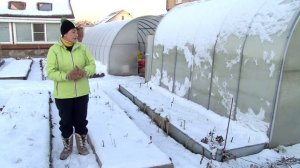 Теплица зимой - открывать или закрывать?