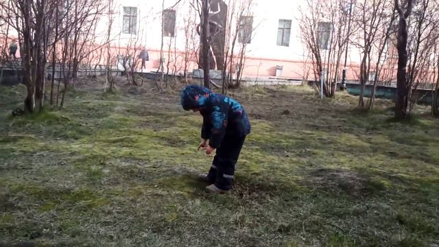 Лето пришло. смотреть онлайн