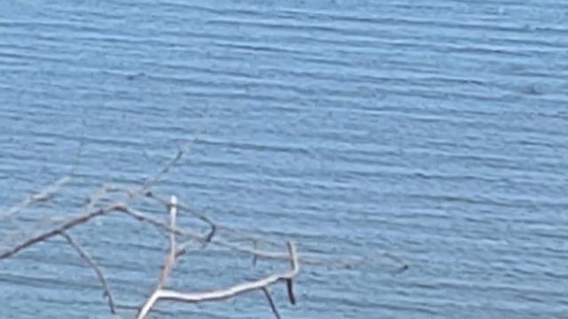 Спуска на Второй мыс. Тавричанка 08.05.2023 смотреть онлайн