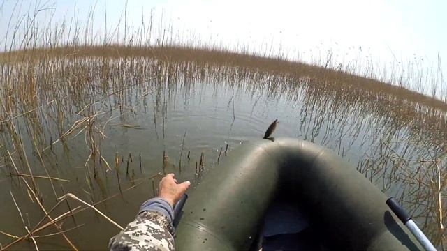 Рыбалка на боковой кивок в камышах - Ловля карася в мае смотреть онлайн