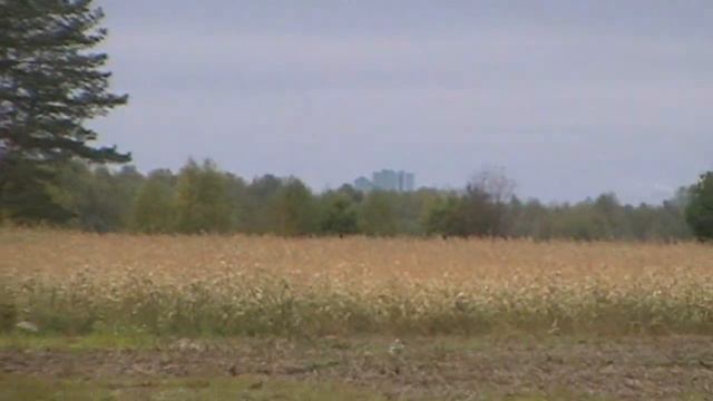 По чешуе на брата смотреть онлайн