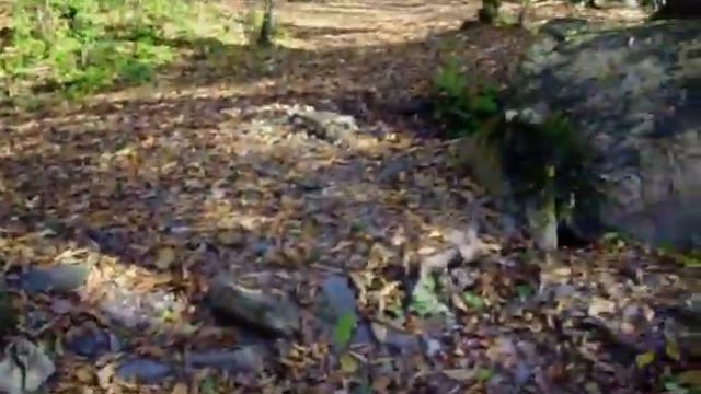 Дольмены (гора Ачишхо 2008) / Dolmens (mountain Achishkho 2008) смотреть онлайн