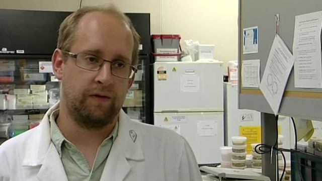 New Otago shag species discovered смотреть онлайн