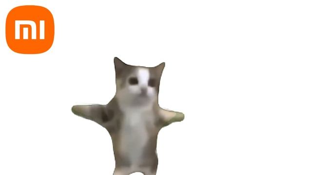 Happy Happy Cat But Famous Phone Ringtones