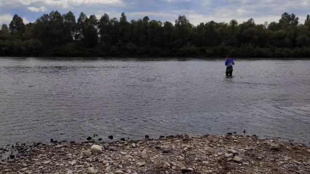 тест спиннинга Sprut