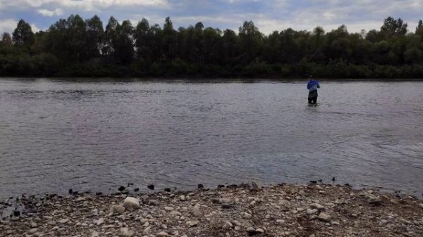 тест спиннинга Sprut