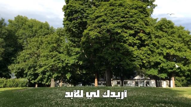 كم أُحبك ، رائعة انكلبرت هامبردينك ، مترجمة . How I love you Engelbert Humperdinck смотреть онлайн