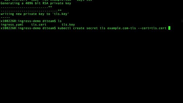 Kubernetes-Ingress-TLS смотреть онлайн
