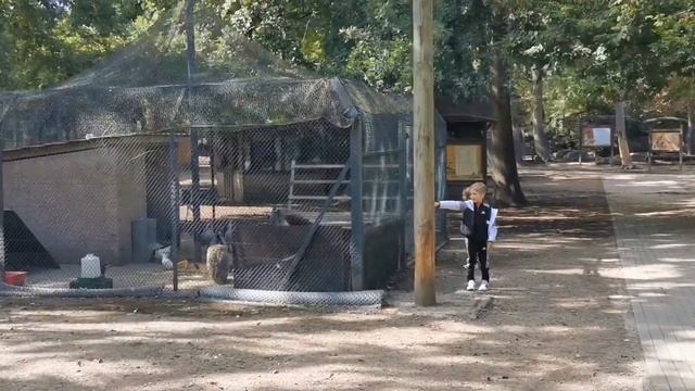 Самый лучший бесплатный контактный зоопарк во Франции/парк анималье Фридель/Parc animalier Friedel смотреть онлайн