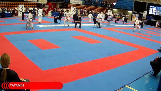 Venice Cup 2014 - 16 Nov. - TATAMI 4 смотреть онлайн