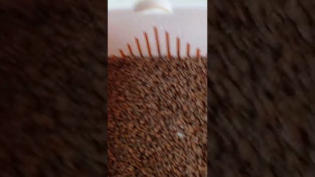 проращиваем чечевицу для салатов!!! смотреть онлайн