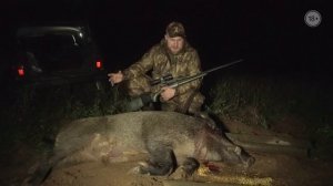 Охота с лабаза на кабана. Советы и нюансы по охоте с лабаза.