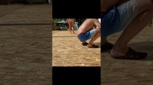 Лак яхтный для террасы ОСП