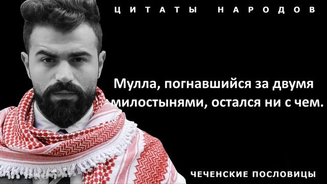 Чеченские (ингушские) пословицы и поговорки, Стоящие Вашего Внимания! Часть 2 смотреть онлайн