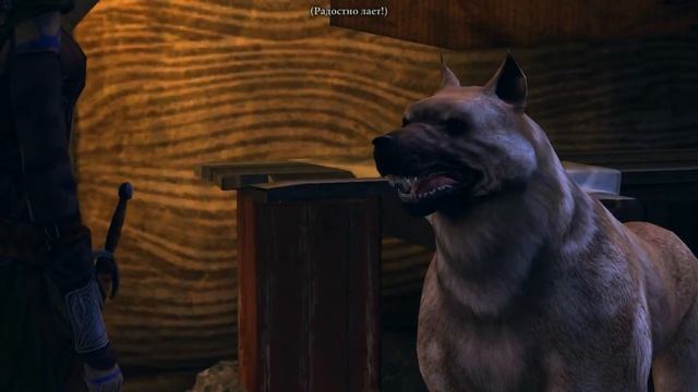 DRAGON AGE II - Мерриль и её сказка о Фен'хареле смотреть онлайн