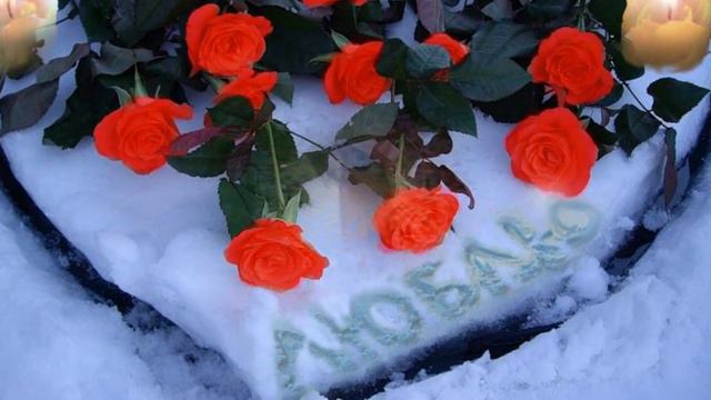 ЖЕНА смотреть онлайн
