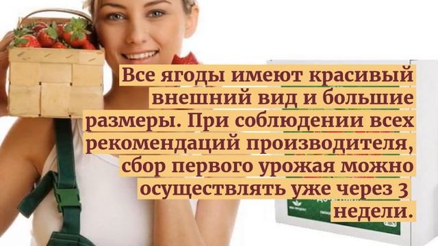Клубника сказочный сбор отзывы - чудо ягодница сказочный сбор – домашняя ягодница. смотреть онлайн