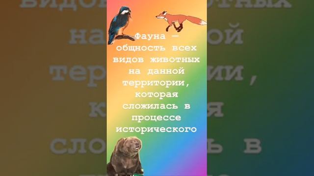 проект "флора и фауна" для подготовительной группы √4 МБДОУ 56 смотреть онлайн