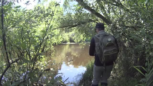 Ловля на малой реке летом в Подмосковье смотреть онлайн