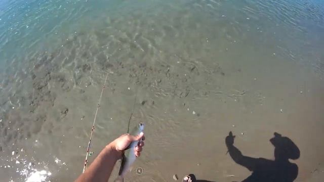 купить удочку | Самоподсекающая удочка Король рыбалки смотреть онлайн