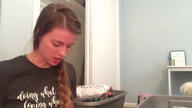 Classroom Haul: Rainbow! смотреть онлайн