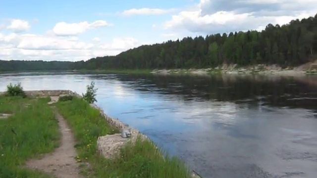 Нюксеница NM