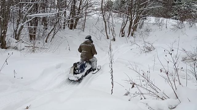 В этот раз всем выдали зачетки смотреть онлайн