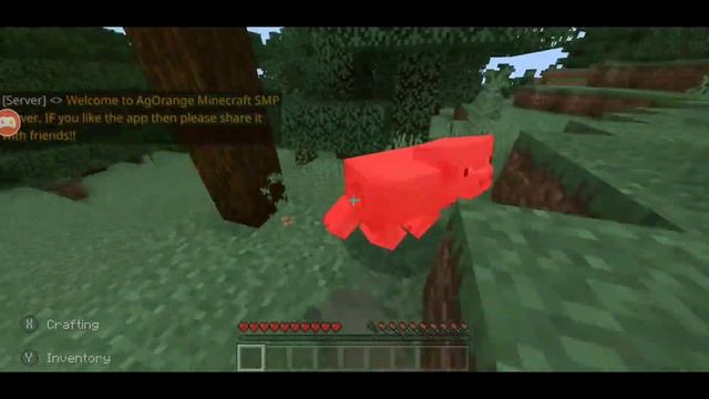 New hosting app for Minecraft - Vortex Connect смотреть онлайн