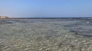 Bliss Nada Resord 4 *отель в Марса Алам