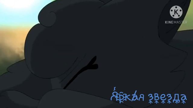 коты воители пепелица/ клип опять домой смотреть онлайн
